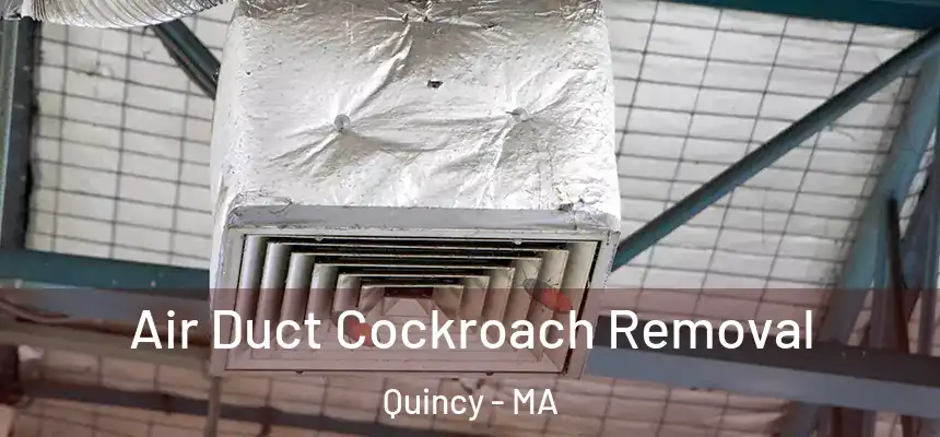 Air Duct Cockroach Removal Quincy - MA