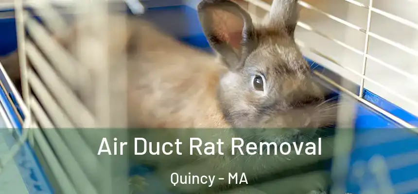 Air Duct Rat Removal Quincy - MA
