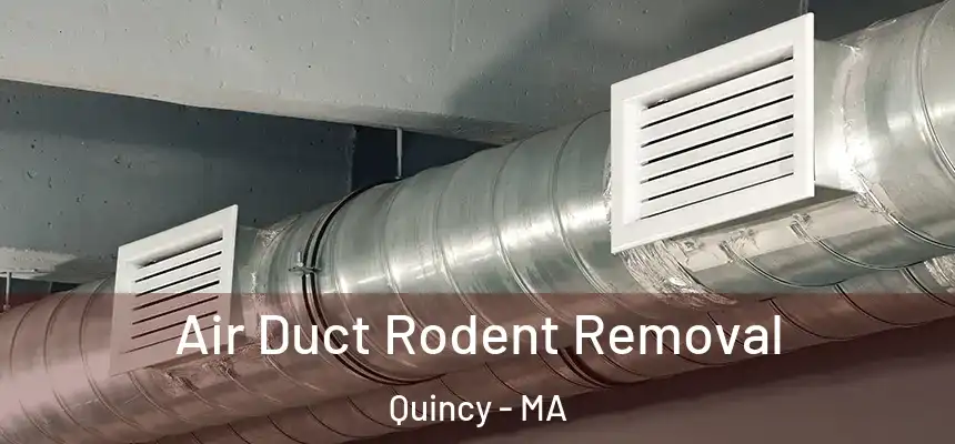 Air Duct Rodent Removal Quincy - MA