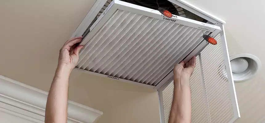 Preventive Cockroach-Proofing for Ducts in Quincy