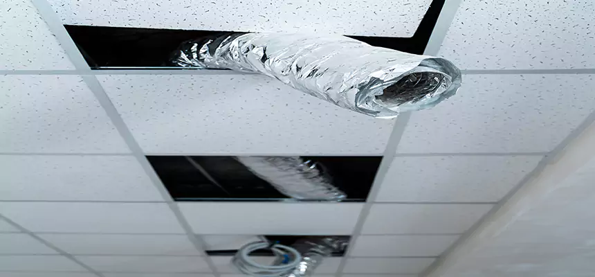 Affordable HVAC Sanitizing After Pest Removal in Quincy