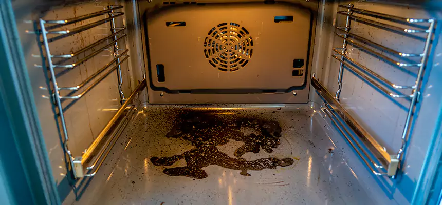 Our Dryer Vent Mold Cleaning Services in Quincy, MA