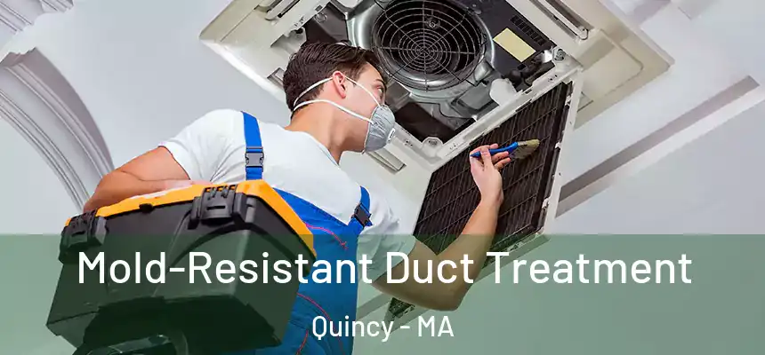  Mold-Resistant Duct Treatment Quincy - MA