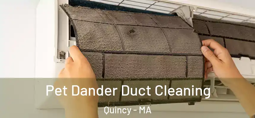 Pet Dander Duct Cleaning Quincy - MA