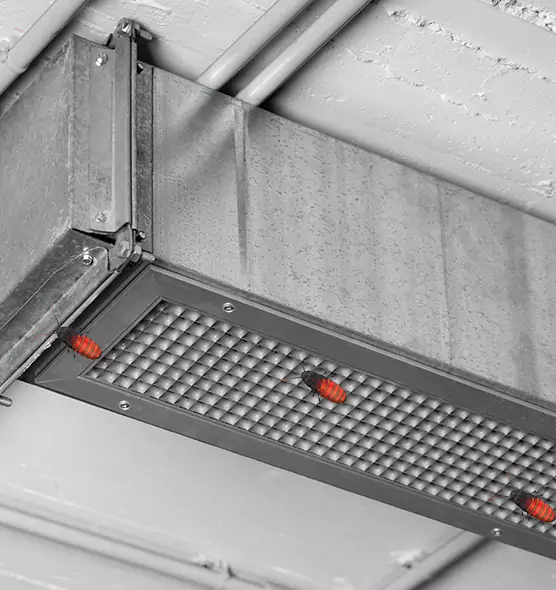 About Air Duct Cockroach Removal in Quincy, MA