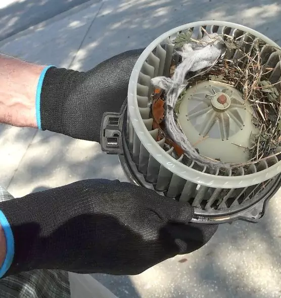 About Air Duct Rat Removal in Quincy, MA