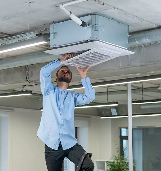 Advanced Rodent Droppings In Vents in Quincy, MA