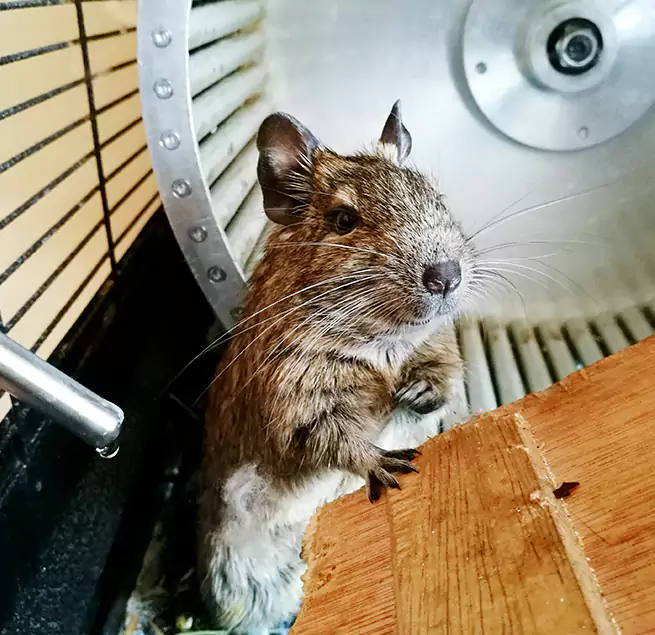 Why Homeowners & Businesses Trust Us Quincy, MA?