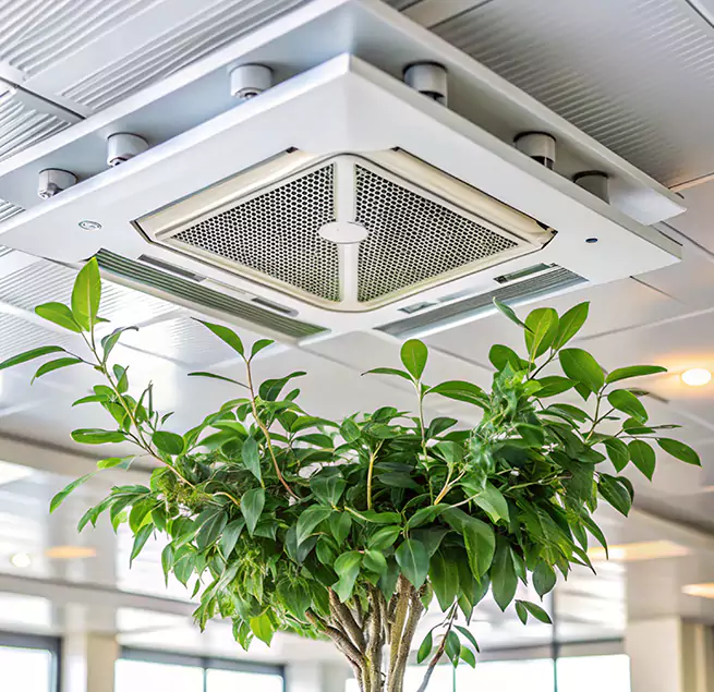 Why Homeowners & Businesses Trust Us in Quincy, MA?