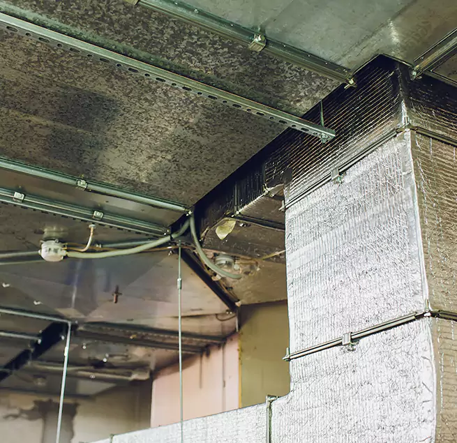 Why Homeowners & Businesses Trust Us in Quincy, MA?